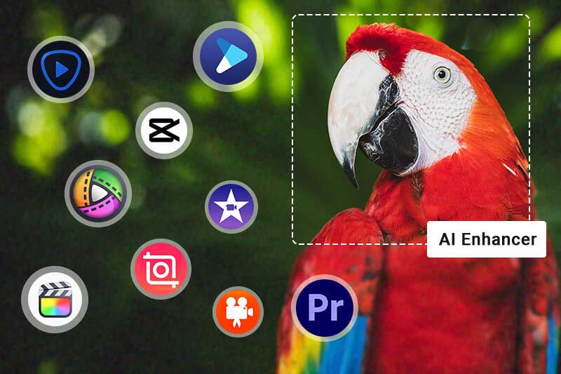 best video enhancer to increase video quality