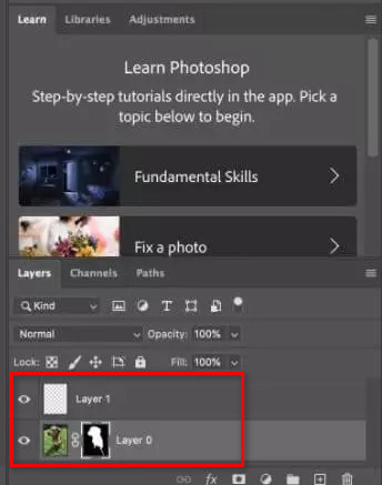 photoshop duplicar la imagen